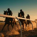Chevaux quarter horse au galop sur la piste en terre d'Ajax Downs au coucher du soleil